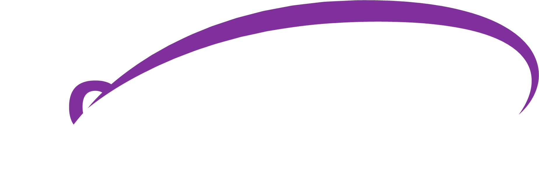 Consulting Services